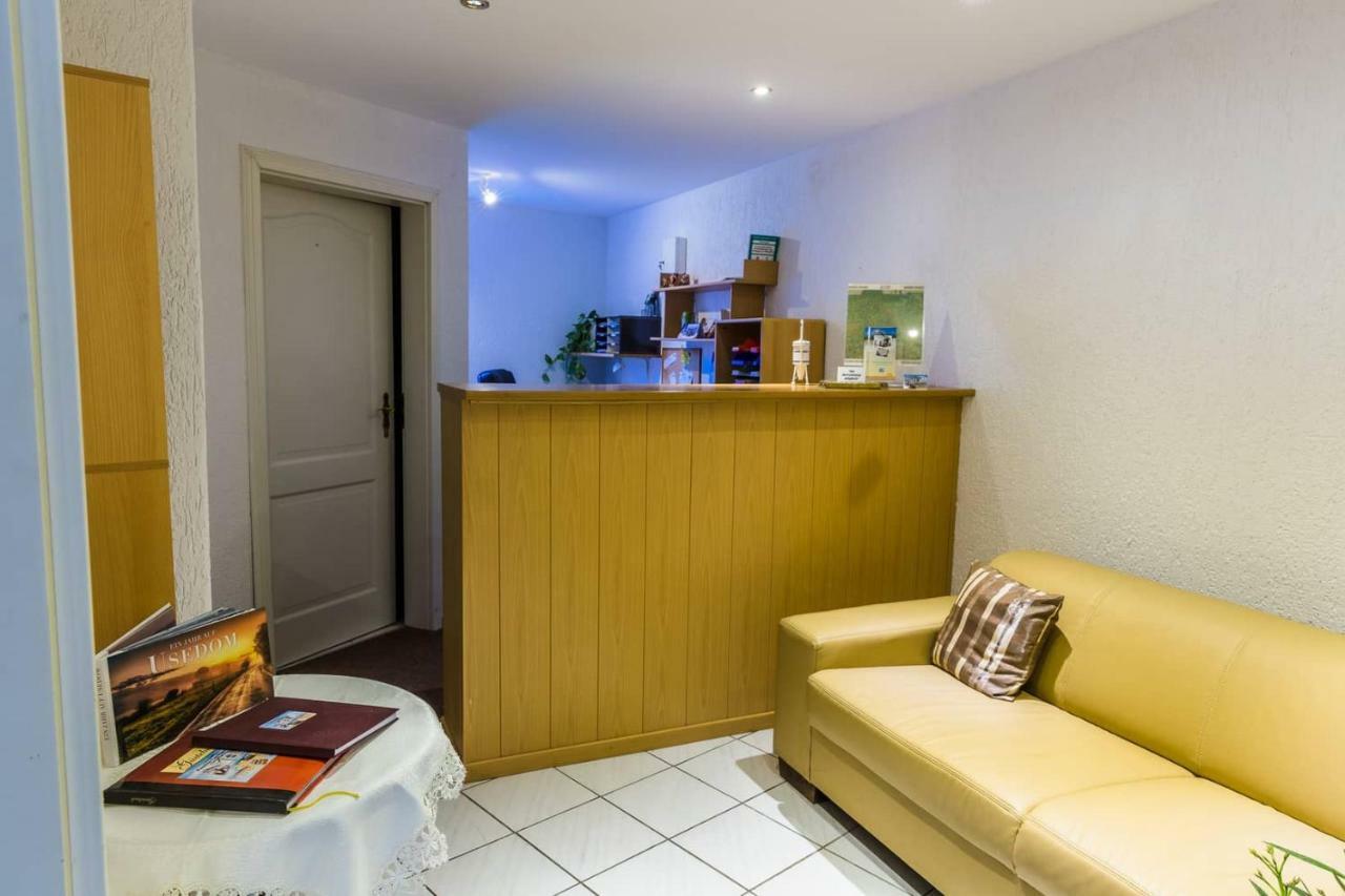 Pension Lachmoewe Zinnowitz Exteriör bild